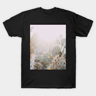 Cacti, Desert, Modern art, Wall art, Print, Minimalistic, Modern, Scandinavian print T-Shirt